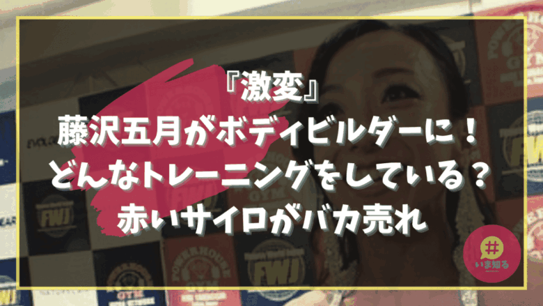 Satsuki Fujisawa Bodybuilding Training Content Red silo